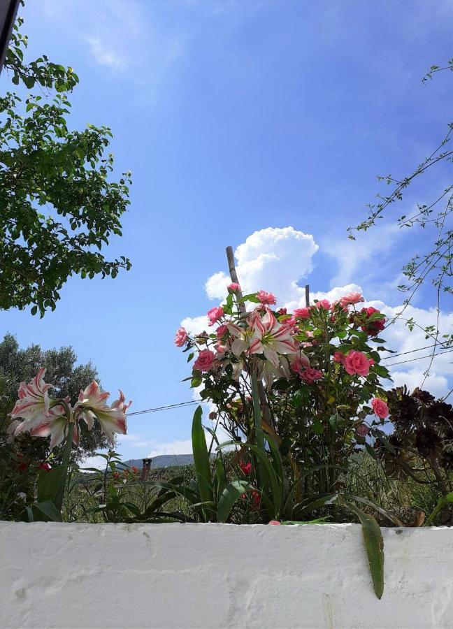 Daphnes Apartments Ratzaklion Ngoại thất bức ảnh